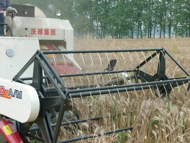 農機“創(chuàng  )”客千里跨區，看我沃得致富標兵1