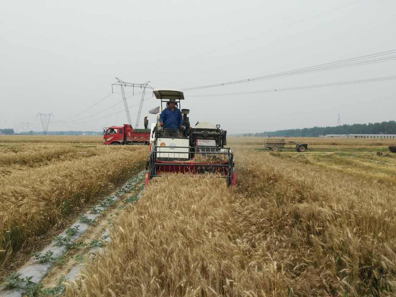 農機“創(chuàng  )”客千里跨區，再看沃得致富標兵2